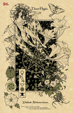 Carica l&#39;immagine nel visualizzatore di Gallery, The Magickal Botanical Oracle
