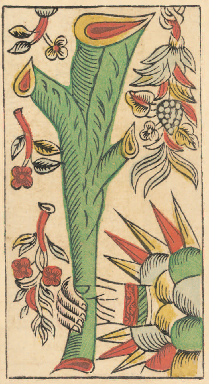 Tarot de Marseille Gassmann - Limited Edition