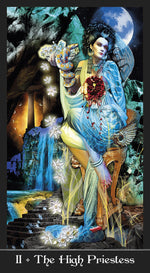 Upload the image to the Gallery viewer,Apokalypsis Tarot + Borsetta
