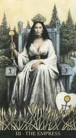 Carica l'immagine nel visualizzatore di Gallery, The Soul Seeker Tarot
