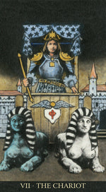 Carica l'immagine nel visualizzatore di Gallery, The Soul Seeker Tarot
