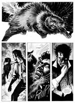 Carica l&#39;immagine nel visualizzatore di Gallery, Edgar Allan Poe - Cinque passi nell&#39;Incubo - Edizione Limitata
