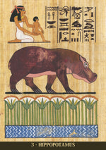 Load image into Gallery viewer, Egyptian Sacred Animals Oracle
