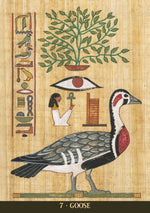 Load image into Gallery viewer, Egyptian Sacred Animals Oracle
