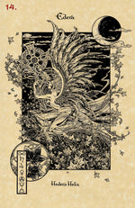 Load image into Gallery viewer, The Magickal Botanical Oracle
