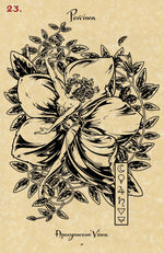 Load image into Gallery viewer, The Magickal Botanical Oracle
