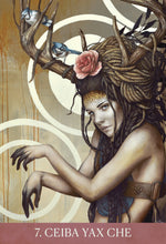Carica l&#39;immagine nel visualizzatore di Gallery, Medicine Heart Oracle
