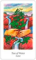 Carica l'immagine nel visualizzatore di Gallery, Vision Quest Tarot

