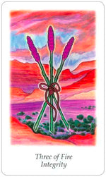 Carica l'immagine nel visualizzatore di Gallery, Vision Quest Tarot
