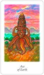 Carica l'immagine nel visualizzatore di Gallery, Vision Quest Tarot

