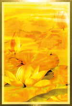 Carica l&#39;immagine nel visualizzatore di Gallery, Wisdom of the Golden Path Oracle
