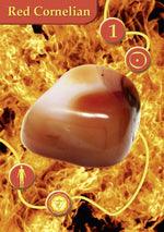 Carica l&#39;immagine nel visualizzatore di Gallery, Gems Oracle
