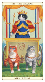 Carica l&#39;immagine nel visualizzatore di Gallery, Marseille Cat Tarot
