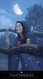Carica l&#39;immagine nel visualizzatore di Gallery, Silver Witchcraft Tarot
