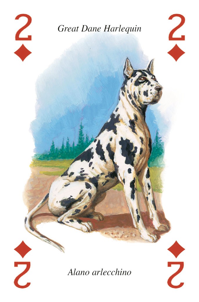 Cani - Carte da Gioco Illustrate