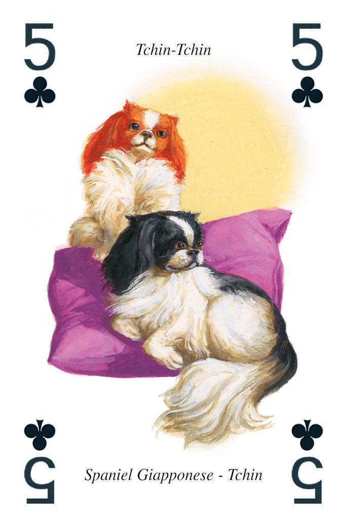 Cani - Carte da Gioco Illustrate