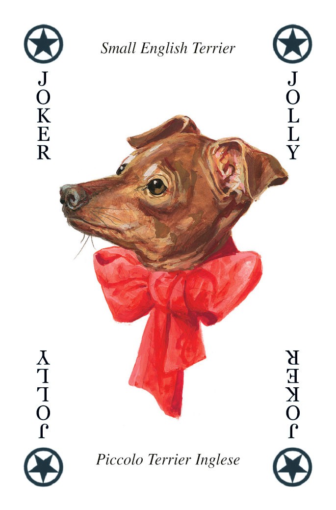 Cani - Carte da Gioco Illustrate