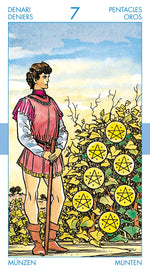 Upload the image to the Gallery viewer,Tarot for Everyone Kit
