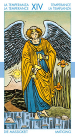 Upload the image to the Gallery viewer,Tarot for Everyone Kit
