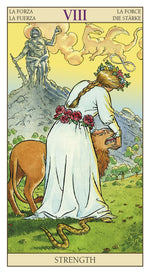 Load image into Gallery viewer, Tarot of the New Vision
