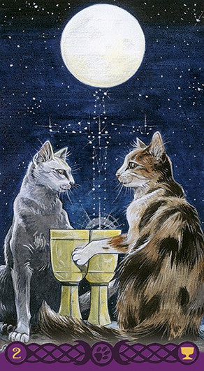 Tarot of the Pagan Cats
