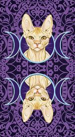 Load image into Gallery viewer, Tarot of the Pagan Cats
