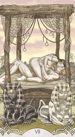 Load image into Gallery viewer, Erotic Fantasy Tarot
