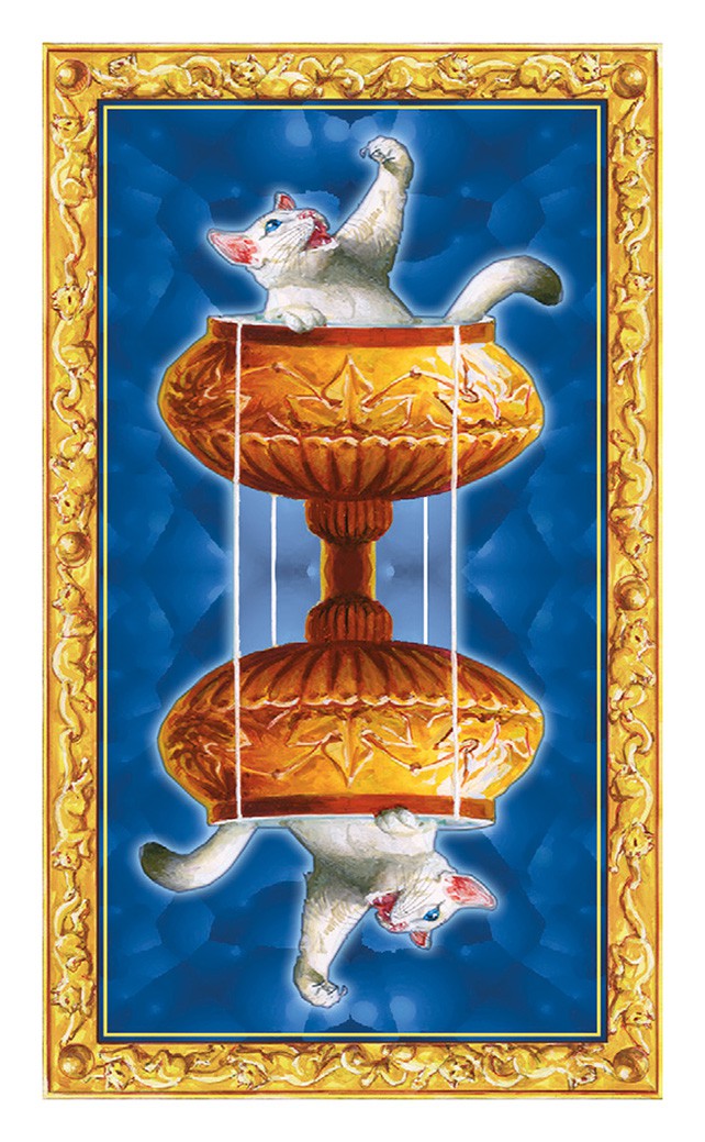 Mini White Cats Tarot