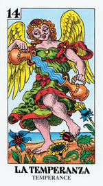 Load image into Gallery viewer, The Bizarre Tarot
