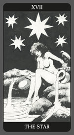 Upload the image to the Gallery viewer,Dark Side Tarot Kit
