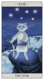 Load image into Gallery viewer, The way Jodorowsky explained Tarot to his Cat
