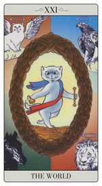 Load image into Gallery viewer, The way Jodorowsky explained Tarot to his Cat
