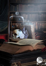 Carica l&#39;immagine nel visualizzatore di Gallery, De La Nuit Lenormand Oracle
