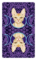 Carica l&#39;immagine nel visualizzatore di Gallery, Mini Pagan Cats Tarot
