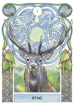 Load image into Gallery viewer, Celtic Astrology Oracle
