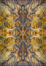 Load image into Gallery viewer, Portraits of a Woman Aspects of a Goddess Inspirational Cards
